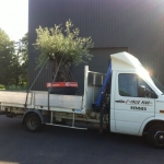 Transport avec Colis PLus (17)