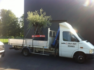 Transport avec Colis PLus (17)