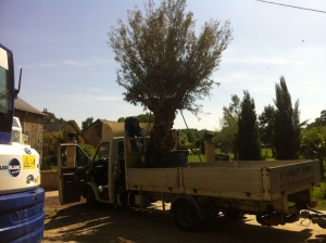 Transport avec Colis PLus (18)