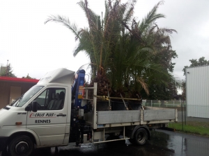 Transport avec Colis PLus (9)