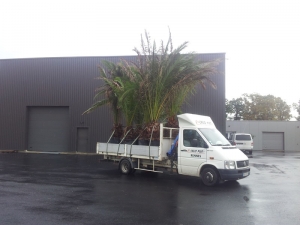 Transport avec Colis PLus (11)