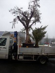 Transport avec Colis PLus (8)